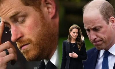 Prince William and Princess Kate are not eager to forgive Prince Harry for causing them a great deal of distress, despite being royals themselves.