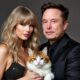 Just in: Elon Musk confessed his love for Taylor Swift. "Fine Taylor, you win... I will give you a child and guard your cats with my life.